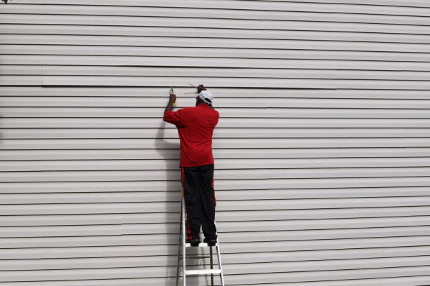 Best Vinyl Siding Installation  in Sycamore, IL