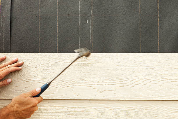 Best Siding Painting and Refinishing  in Sycamore, IL